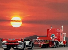 1/64 DCP PETERBILT 389 TRI AXLE W/ 70″ MID ROOF & TRANSCRAFT STEPDECK TRAILER